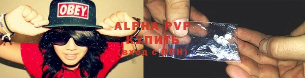 СК Касимов