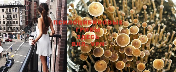 герыч Алзамай