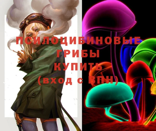 дмт Алексин