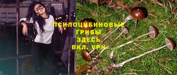 дмт Алексин