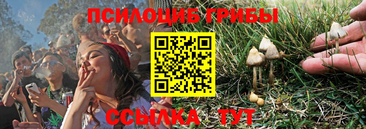 Галлюциногенные грибы ЛСД  Вход с VPN  Тайшет  Галлюциногенные грибы мухоморы 